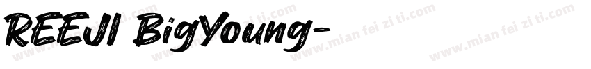 REEJI BigYoung字体转换